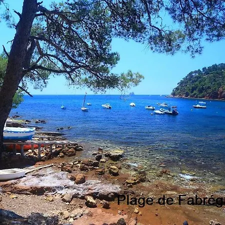 Et Salle De Bain Independantes A 200m De La De Fabregas منزل للإقامة لا سين سور مير